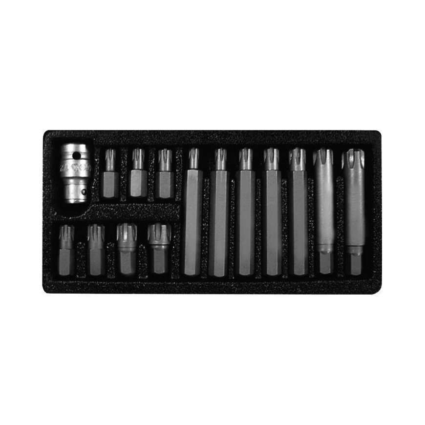 Proline Pro-Line 3/8 "1/2" Ribe Torx bit set 42 pieces (10747)