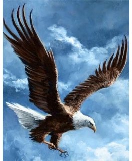 Beldizart Sky Conqueror 38*48 WD2346
