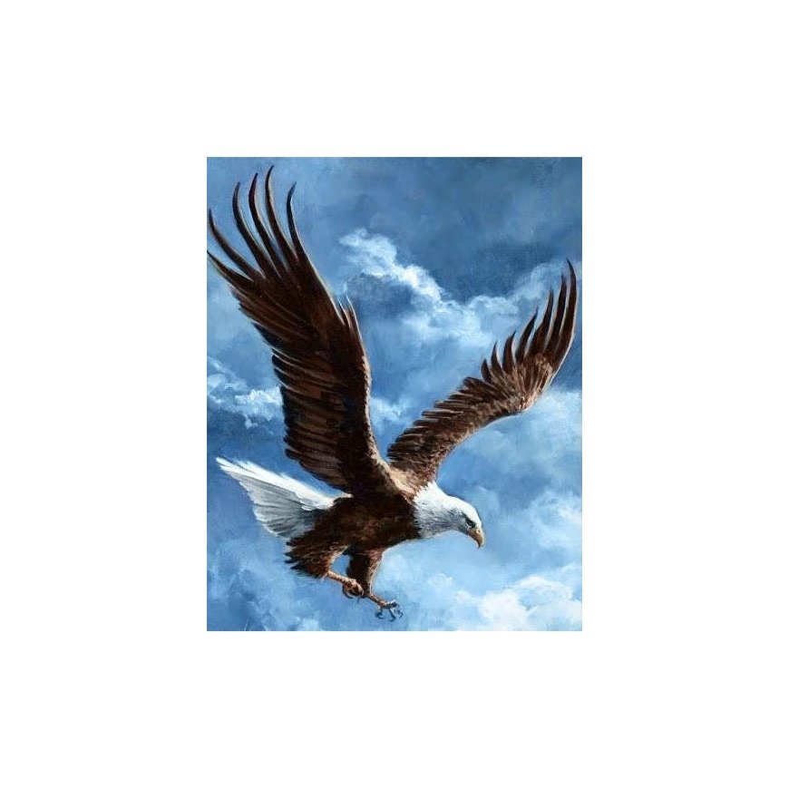 Beldizart Sky Conqueror 38*48 WD2346