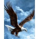 Beldizart Sky Conqueror 38*48 WD2346 Beldizart Sky Conqueror 38*48 WD2346