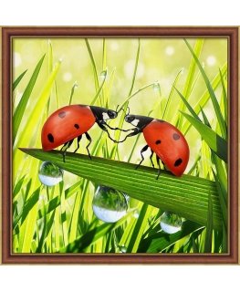 Beldizart Pair of Ladybugs 25x25 cm AZ-1787