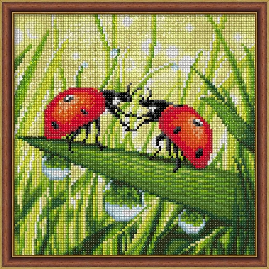 Beldizart Boružėlės pora 25x25 cm AZ-1787 – 2