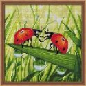 Beldizart Boružėlės pora 25x25 cm AZ-1787 Beldizart Boružėlės pora 25x25 cm AZ-1787