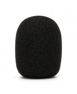 RØDE WS2