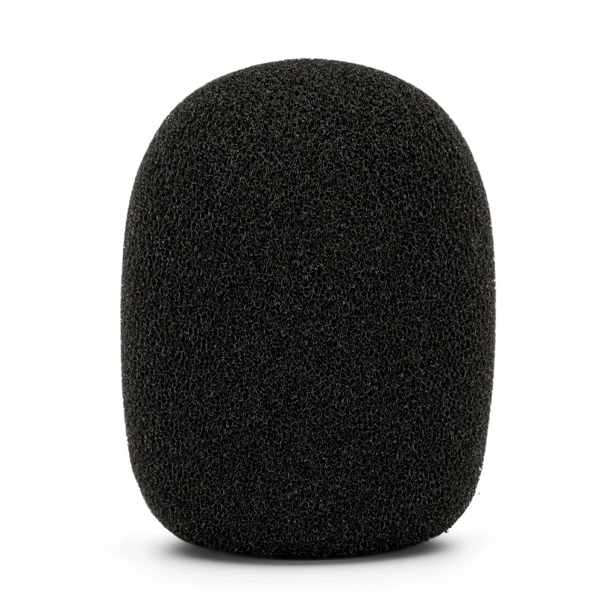 RØDE WS2
