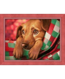 Beldizart Dachshund puppy 40x30 cm AZ-1703