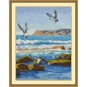 Beldizart (Nutraukta) Sea Surf S816