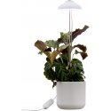 Airam Iris -kasvivalo, IP20, 5W, 240 lm, valkoinen Airam Iris -kasvivalo, IP20, 5W, 240 lm, valkoinen