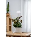 Airam Iris plant light, IP20, 5W, 240 lm, white Airam Iris plant light, IP20, 5W, 240 lm, white