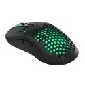 Marvo G925 kompiuterio pelė Abiems rankoms USB A tipo Optinis 12000 DPI Marvo G925 kompiuterio pelė Abiems rankoms USB A tipo Optinis 12000 DPI