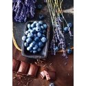 Beldizart SALE (discontinued) Chocolate and Blueberry 38*48 cm WD046 Beldizart SALE (discontinued) Chocolate and Blueberry 38*48 cm WD046