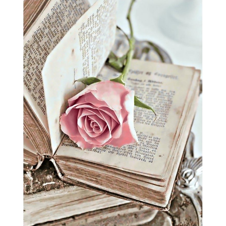 Beldizart Love novel 38*48 cm WD052