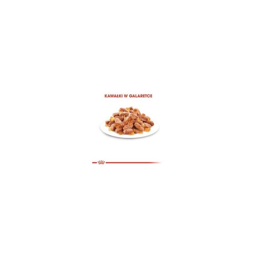 Royal Canin FHN Kitten Instinctive in sauce - wet food skirta kittens - 12x85g – 4