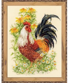 Uab 039039Riolis039039 Rooster 1479