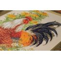 Uab 039039Riolis039039 Rooster 1479 Uab 039039Riolis039039 Rooster 1479