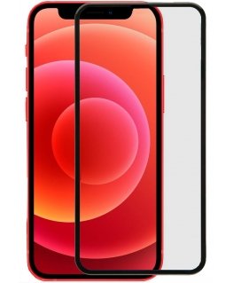 Evelatus Apple iPhone 12 Pro Max 6.7'' 2.5D Full Cover Japan Glue Glass Anti-Static