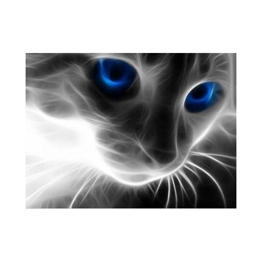 Beldizart Diamond painting kit Cat&039s Look