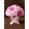Beldizart Peonies with ribbon 27*38 cm WD003 Beldizart Peonies with ribbon 27*38 cm WD003