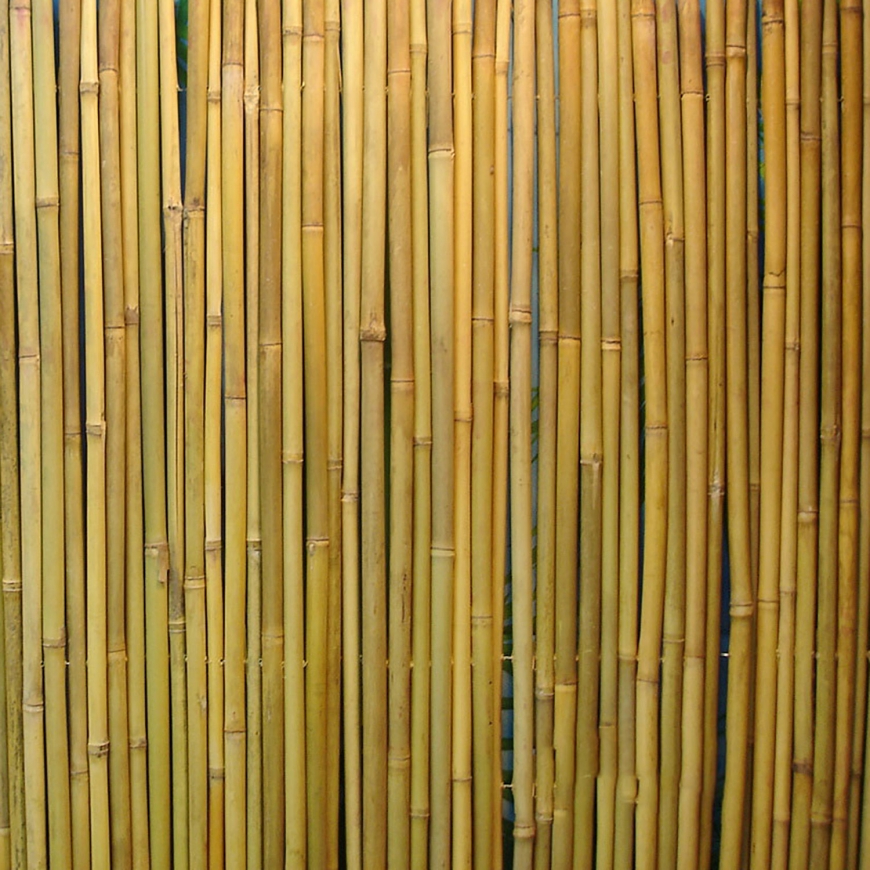 Punched bamboo fence IN GARDEN 1x3m, D14/16mm – 3