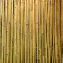 Бамбуковый забор IN GARDEN D14/16мм, 1x3м Бамбуковый забор IN GARDEN D14/16мм, 1x3м