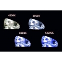 Amio 01847 Komplektas 1103 H8 H9 H11 4300K