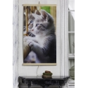 Infraraudonųjų spindulių šildytuvas - lanksti šildymo plokštė 430W TRIO design 11 cat, matmenys 100x57cm Infraraudonųjų spindulių šildytuvas - lanksti šildymo plokštė 430W TRIO design 11 cat, matmenys 100x57cm