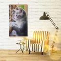 Infrared heater - flexible heating plate 430W TRIO design 11 cat, dimensions 100x57cm