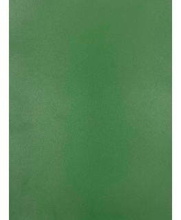 Evelatus Universal Universal Color Shinning A3 Film for Screen Cutter Army Green
