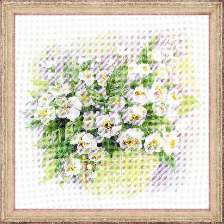 Uab 039039Riolis039039 Uab 039039Riolis039039 Watercolor Jasmine