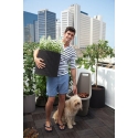 Keter Donica Curver Keter didelis CYLINDER PLANTER antracito