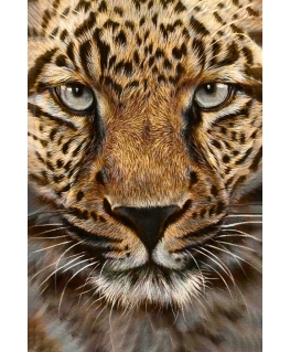 Beldizart Gepardas 20 x 30 cm WD069