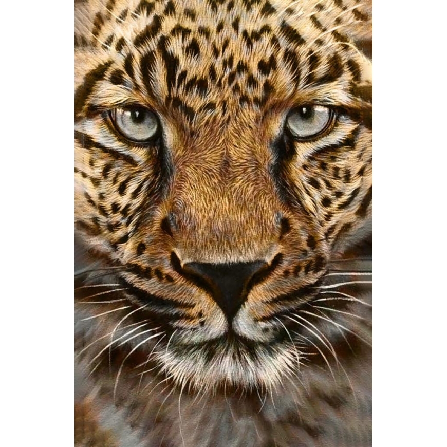 Beldizart Gepardas 20 x 30 cm WD069