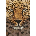 Beldizart Gepardas 20 x 30 cm WD069