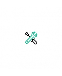 HP HPE Install nonStd Hrs DL38x Svc