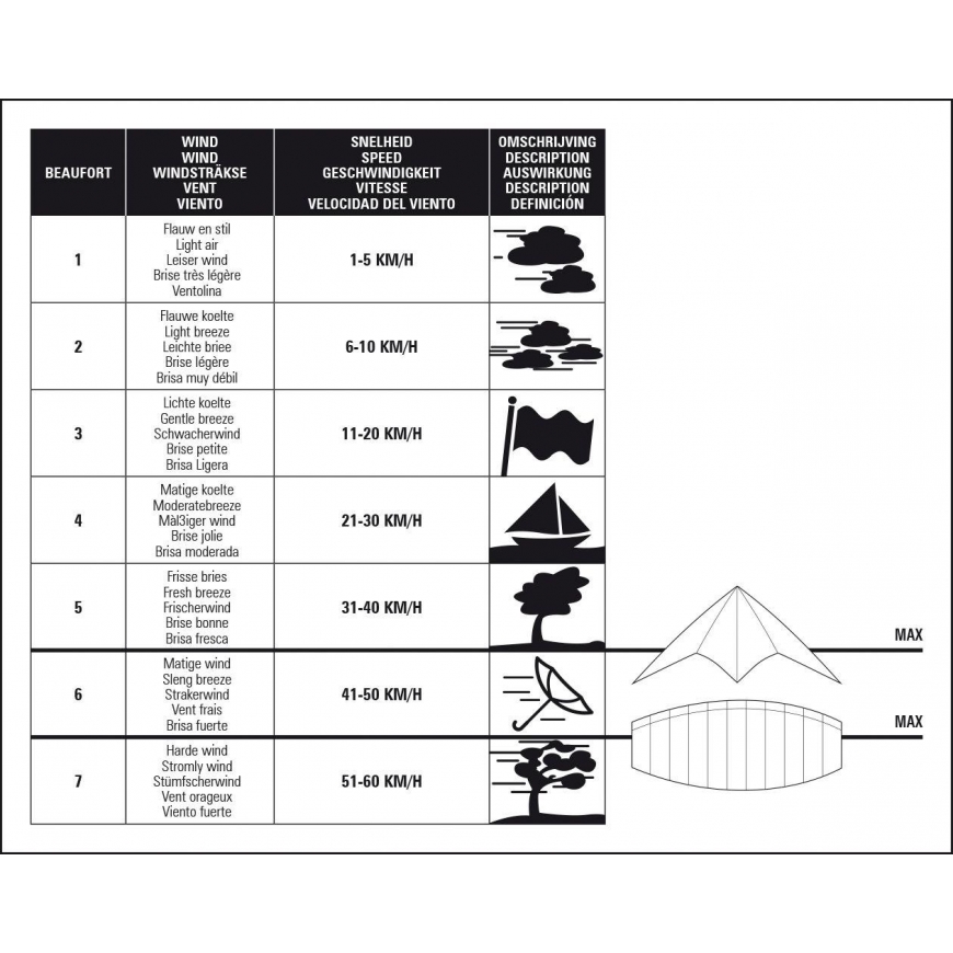 DRAGONFLY Kite 51WL Kite Eagle – 3