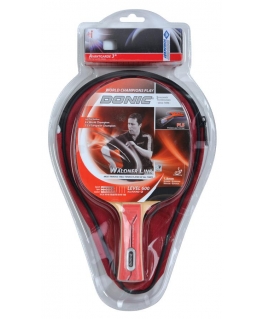 Table tennis rink. DONIC Waldner TT-SET 600 ITTF