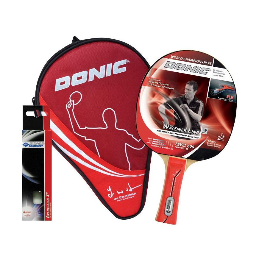 Table tennis rink. DONIC Waldner TT-SET 600 ITTF – 2