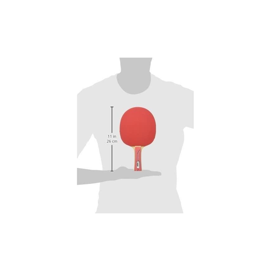 Table tennis rink. DONIC Waldner TT-SET 600 ITTF – 7
