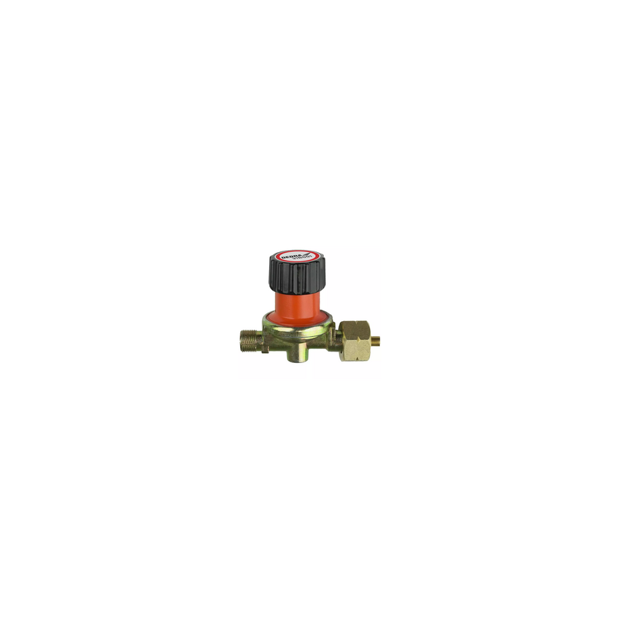 Dedra gas regulator 0.5-4 bar – 2