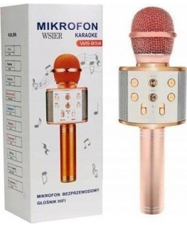 & K Toy Microphone JYWK369-4 Rose Gold