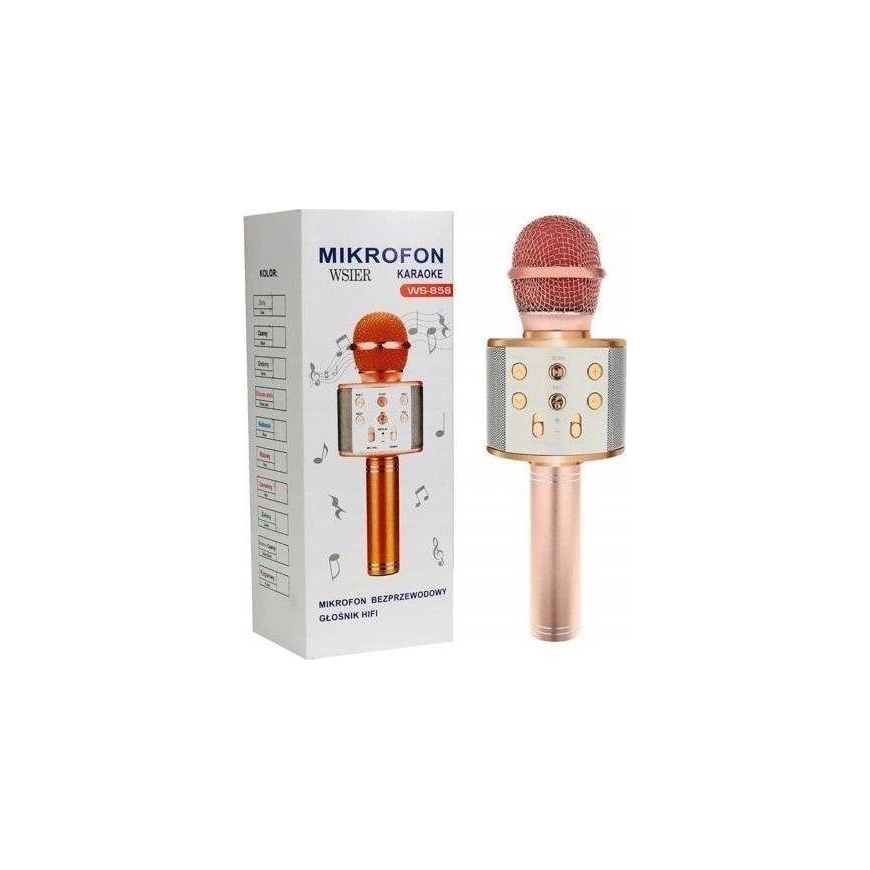& K Toy Microphone JYWK369-4 Rose Gold
