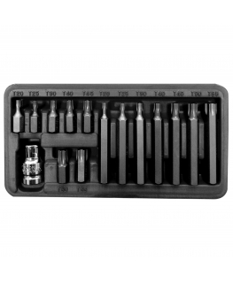 Proline Pro-Line 3/8 &39&39 Torx T20-T55 bit set, 15 pieces (10741)