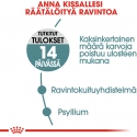 Royal Canin matu kopšanas līdzeklis, 10 kg sausa ēdiena Royal Canin matu kopšanas līdzeklis, 10 kg sausa ēdiena