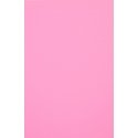 Evelatus Universal Universal Color Shinning Film for Screen Cutter Light Pink