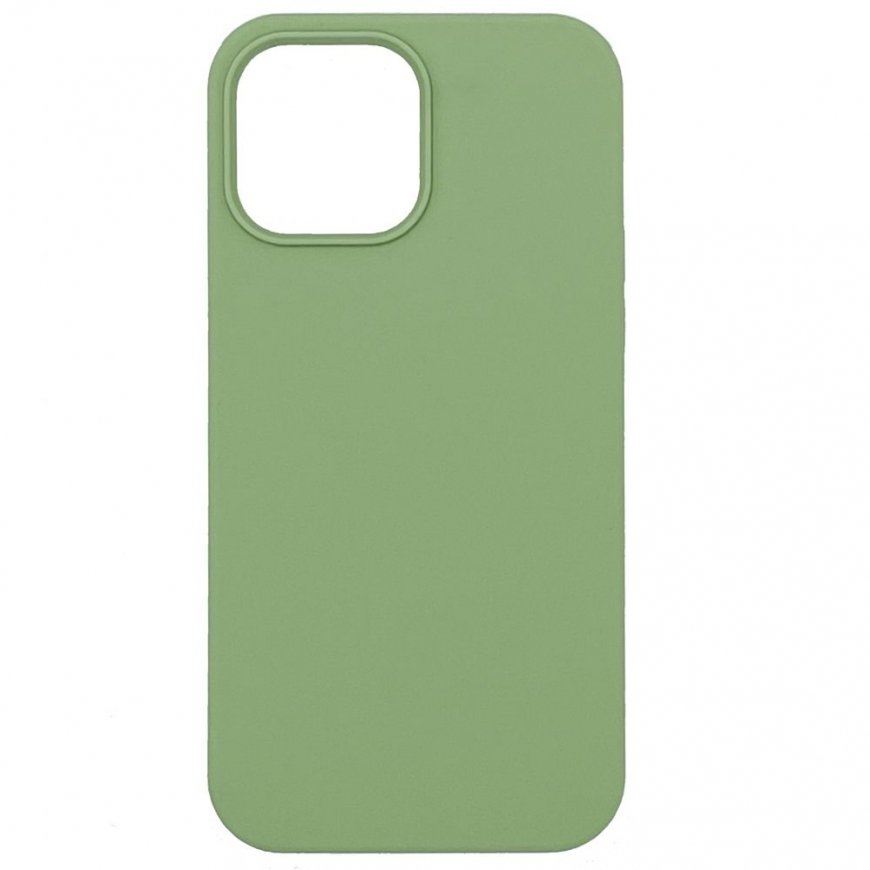 Evelatus Apple Evelatus iPhone 13 Pro Max Premium Soft Touch Silicone Case Mint
