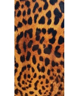 Evelatus Universal Leopard Colorful Film for Screen Cutter