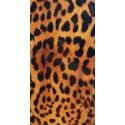 Evelatus Universal Leopard Colorful Film for Screen Cutter