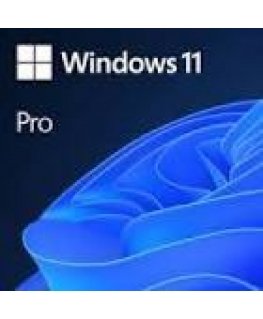 Microsoft MS ESD Win Pro N 11 64-bit
