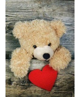 Beldizart SALE (discontinued) Gift 27*38 cm WD2304