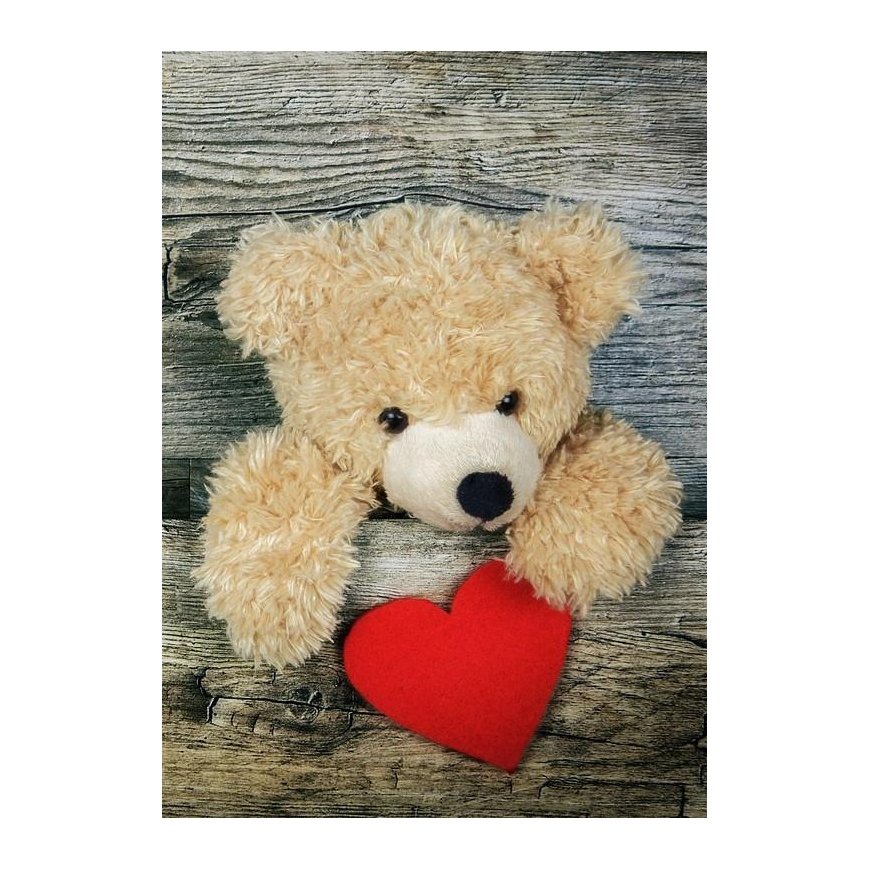 Beldizart SALE (discontinued) Gift 27*38 cm WD2304